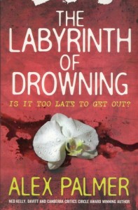 labyrinth of drowing