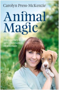 animal-magic