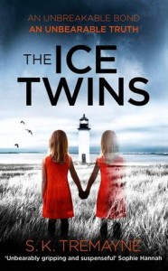 ice twins